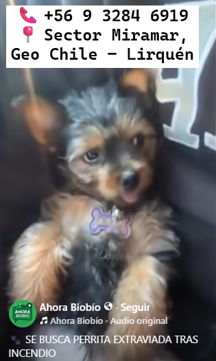 Se busca sector Miramar