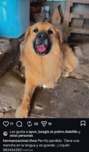 encontrado por su familia, aunque mal herido