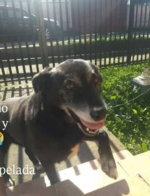 Seguimos buscando a Woody