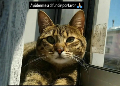 Ayúdenme a difundir por favor
