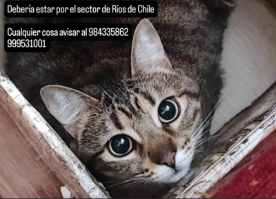 Ayúdenme a difundir por favor