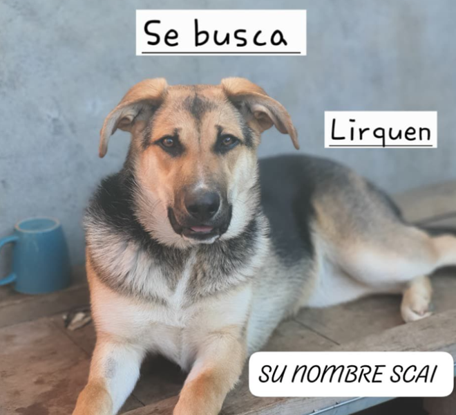 Se busca en Lirquén
