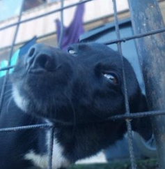 Perdido en Ríos de Chile