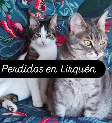 Perdidas en Lirquén