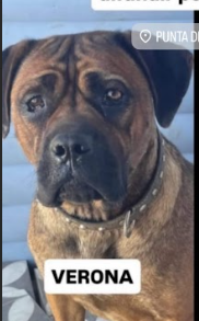 Se busca a Verona, Sector Punta Parra