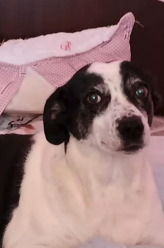 Se nos perdió la bebé de la casa