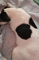 Se nos perdió la bebé de la casa