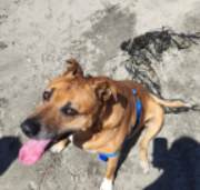 Se busca a Café, Sector Ríos de Chile